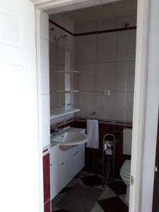 ein Bad mit einem Waschbecken und einem WC in der Unterkunft Apartman Kristian in Velika Gorica