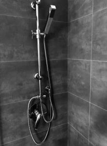 a shower in a bathroom with a shower head at Taliari Taormina Apartment in Taormina