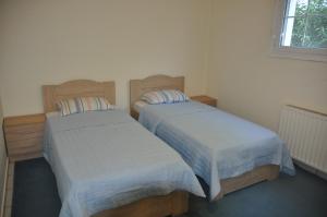 two beds sitting next to each other in a bedroom at Spacious Apartment at Ioannina, Anatoli in Anatolí