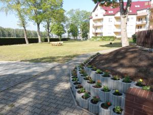 Ogród w obiekcie Apartament Dziwnów