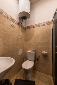 a bathroom with a toilet and a sink at Villa Apartments by the sea in Liepāja