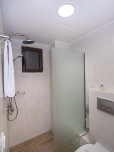 a bathroom with a shower with a toilet and a tv at Eva Mare Hotel & Suites - Adults only in Agia Pelagia