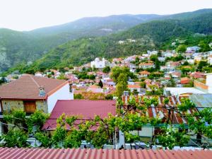 a view of a town with mountains in the background at Christys Palace Hotel in Pedoulas