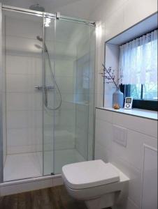 a bathroom with a glass shower with a toilet at Darßer Strandgut - Haus Butzek in Ahrenshoop