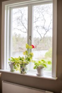 três vasos de plantas sentadas no parapeito da janela em Sörtorpets gårdshus em Älvkarleby
