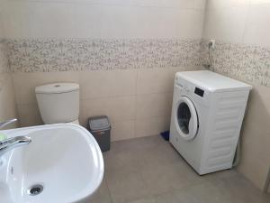 a bathroom with a washing machine and a sink at Tamari Guest House in Telavi