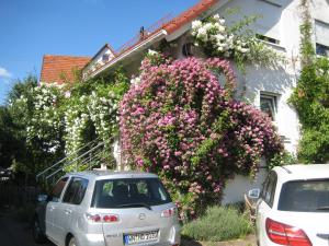 un coche blanco estacionado frente a un edificio con flores en Möbliertes Zimmer, Plüderhausen en Plüderhausen