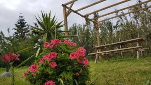 a garden with pink flowers and a wooden bench at Our relaxing holiday home in Mosteiros