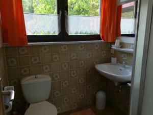 a bathroom with a toilet and a sink and two windows at Ferienwohnung Harms 2 in Hitzacker