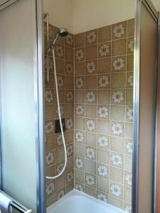 y baño con ducha con cabezal de ducha. en Ferienwohnung Harms 2, en Hitzacker