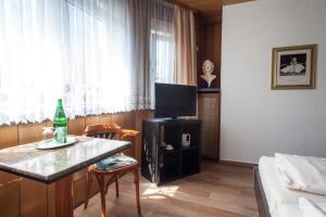 Sala de estar con cama y mesa con TV en Hotel Nassauer Hof en Wissen