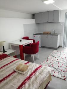 A kitchen or kitchenette at Guest House Baranin Pitomine