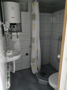 La salle de bains est pourvue d'un lavabo, de toilettes et d'une douche. dans l'établissement Guest House Baranin Pitomine, à Žabljak