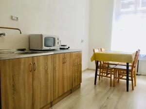 Köök või kööginurk majutusasutuses Apartment Insat