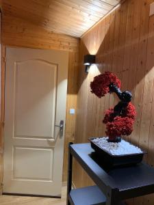 a room with a door and a plant on a table at Grand studio tout confort sur cour in Champagnole