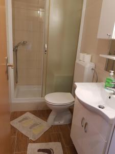 Koupelna v ubytování Rooms Neda
