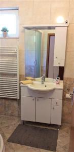 bagno con lavandino e specchio di Agriculture & Holiday house Lasko a Goveđari