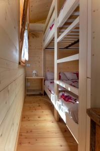 Gallery image of Mini Chalet Walser in Formazza