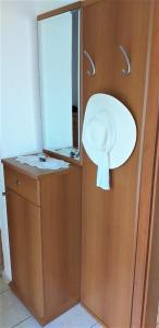 a bathroom with a mirror and a toilet paper dispenser at Agriculture & Holiday house Lasko in Goveđari