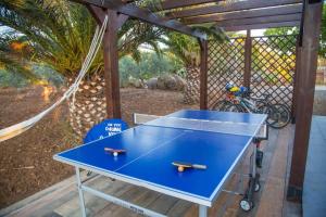 a blue ping pong table sitting on a deck at casa delle palme in Ustica