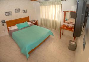 ein Schlafzimmer mit einem Bett, einem Spiegel und einem TV in der Unterkunft Hotel Casa Aragon in Cartago