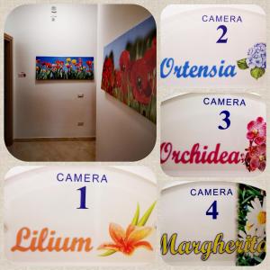 Fotografia z galérie ubytovania FIORI E COLORI v destinácii Mazara del Vallo