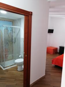 uma casa de banho com um WC e uma cabina de duche em vidro. em Borgo Manfria em Gela