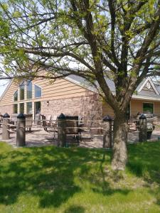 a tree in the grass next to a building at AmericInn by Wyndham Red Wing in Red Wing
