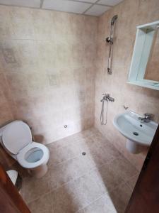 コプリフシティツァにあるHadji Neikovi Guest Housesのバスルーム(トイレ、洗面台付)