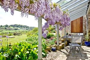 a garden with purple lilacs hanging from a pergola at Little Combe in Chard