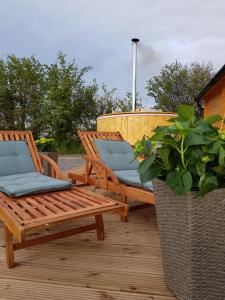 dwa drewniane krzesła siedzące na tarasie z rośliną w obiekcie The Ranch Cabin w mieście Rathdowney