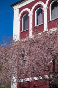 Fotografie z fotogalerie ubytování Agriturismo Tenuta Polledro v destinaci Asti + 86 fotografií