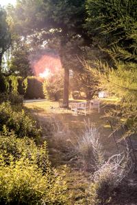 un jardin avec deux bancs blancs et des arbres dans l'établissement Agriturismo Tenuta Polledro, à Asti