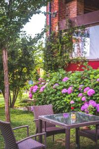 Fotografie z fotogalerie ubytování Agriturismo Tenuta Polledro v destinaci Asti