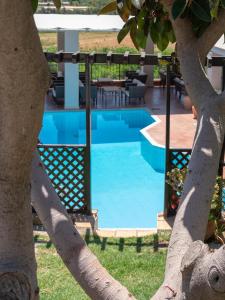 a swimming pool in a yard with a tree at Eva Mare Hotel & Suites - Adults only in Agia Pelagia