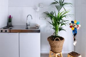 una cocina con fregadero y una planta en una cesta en FORMENTERADREAMING SUITe, en La Savina