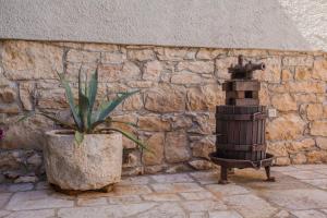 Fotografie z fotogalerie ubytování Casa Tonina v destinaci Cres