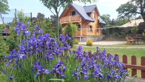 a bunch of purple flowers in front of a house at Domki Letniskowe Zbyszko in Świnoujście