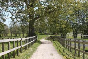 a dirt road next to a fence and a tree at Kildegaarden in Kokkedal