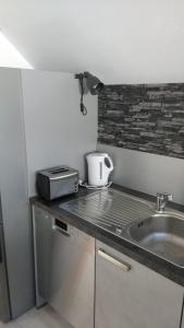 eine Küchentheke mit einer Spüle und einem Toaster in der Unterkunft Haus Rebblick in Offenburg