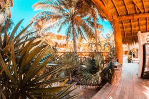 Zahrada ubytování Ensueño Holbox & Beach Club