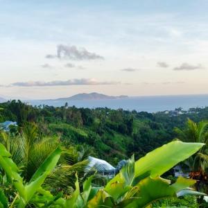 a view of the ocean from a hill with palm trees at Escale Caraibes in Trois-Rivières