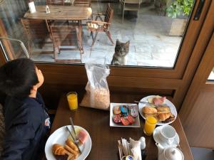 Ein kleiner Junge sitzt am Tisch mit einer Katze im Fenster. in der Unterkunft Hotel Chris in Athen