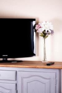 un jarrón de flores y un televisor en un mostrador en Apartamentos Vista Veleta en Capileira