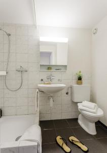 La salle de bains est pourvue d'un lavabo, de toilettes et d'une douche. dans l'établissement Rent a Home Delsbergerallee - Self Check-In, à Bâle