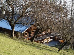 Fotografie z fotogalerie ubytování Bauernhaus & Appartement Goldschmied v destinaci Fügenberg