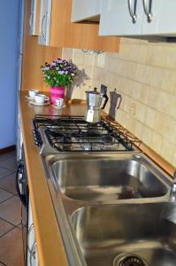 um balcão de cozinha com um lavatório e um fogão em Residence Bonetei em Dimaro
