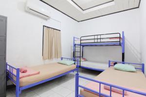 Krevet ili kreveti na kat u jedinici u objektu Arjuna Hostel