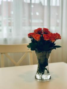 Fotografie z fotogalerie ubytování Taikos apartamentai Nidoje v destinaci Nida