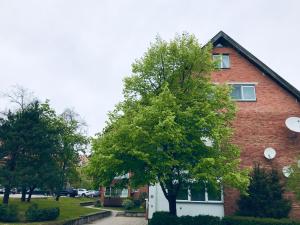 a brick building with a tree in front of it at Taikos apartamentai Nidoje in Nida